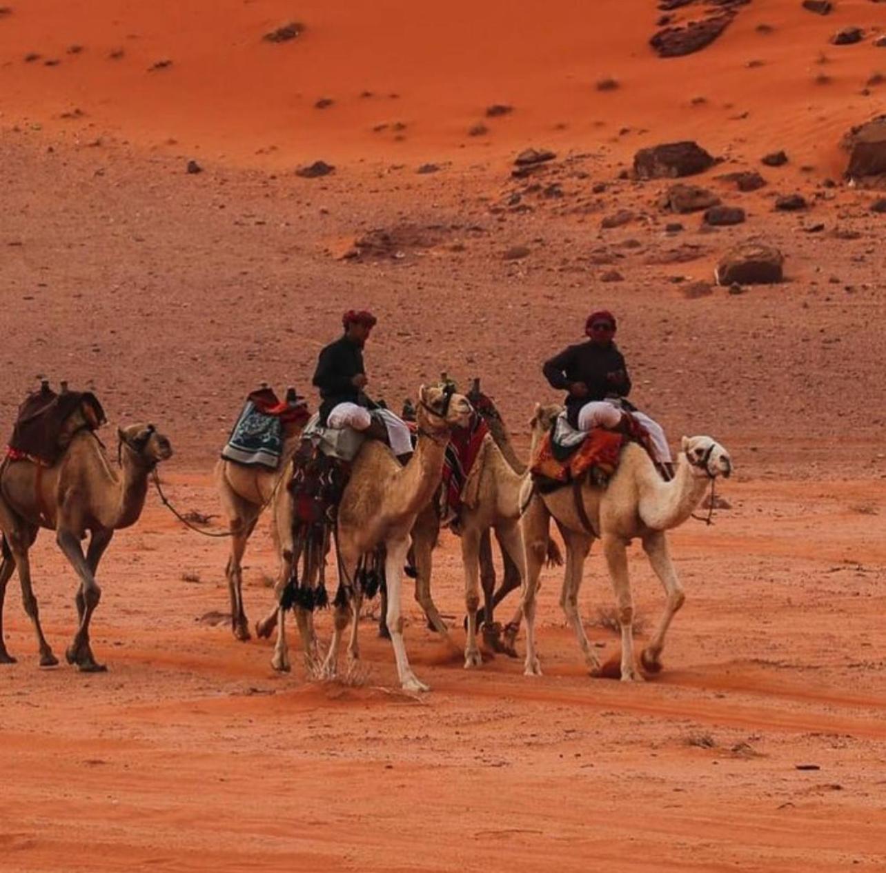 Hotel Bedouin Bunch Camp à Wadi Rum Extérieur photo