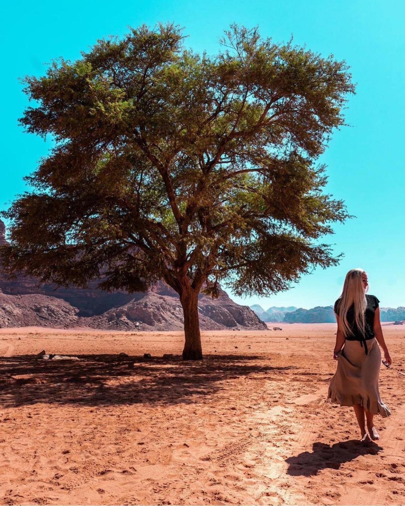 Hotel Bedouin Bunch Camp à Wadi Rum Extérieur photo
